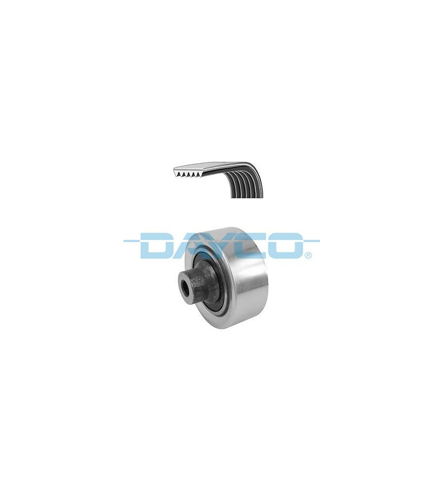 DAYCO KPV229