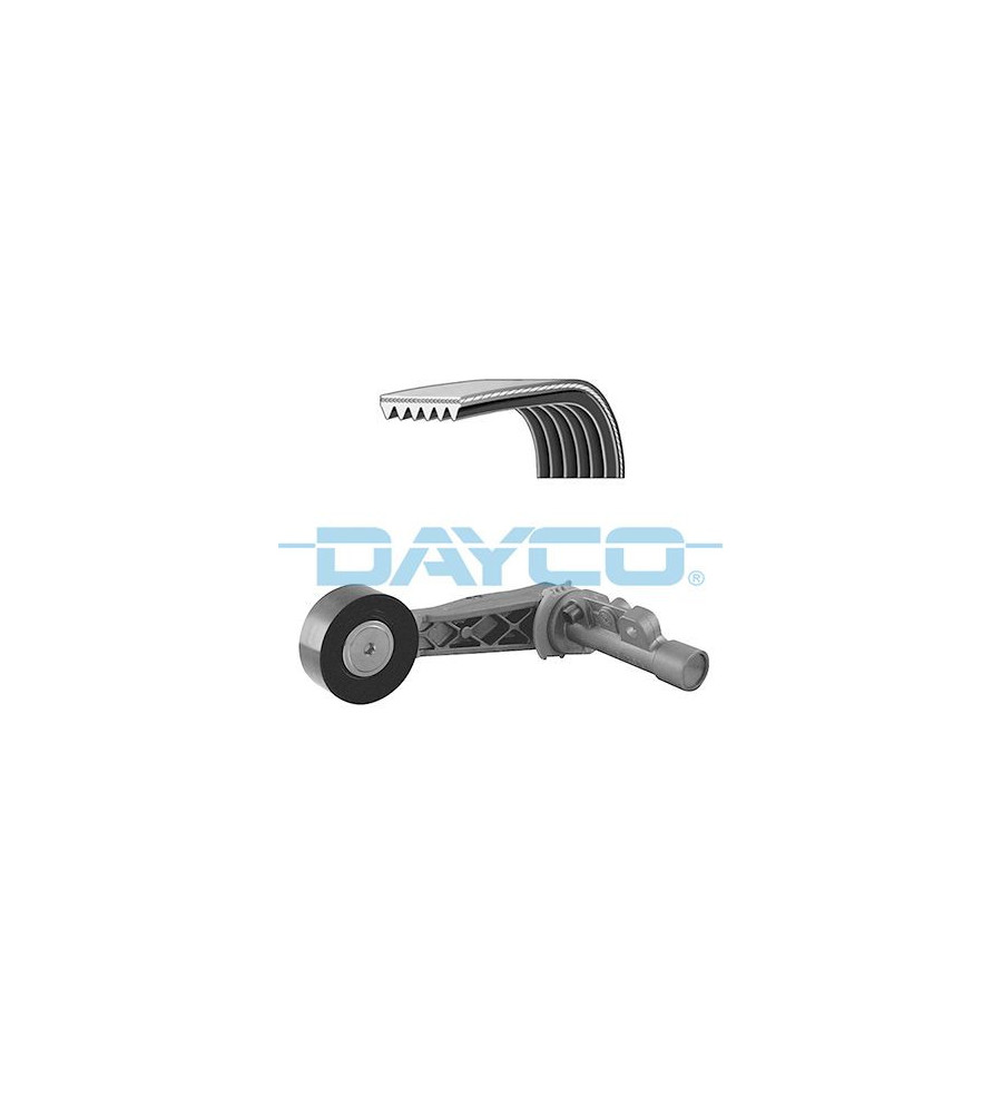 DAYCO KPV222