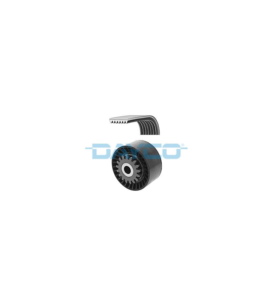 DAYCO KPV210