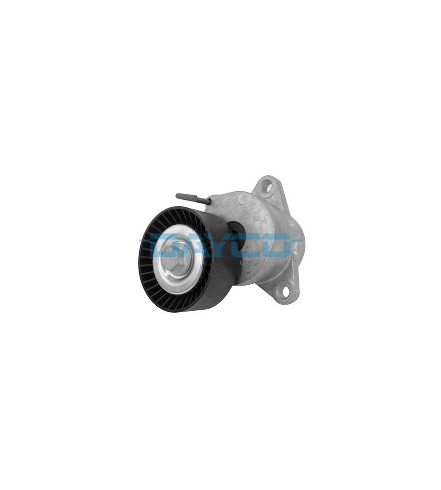 DAYCO APV2848